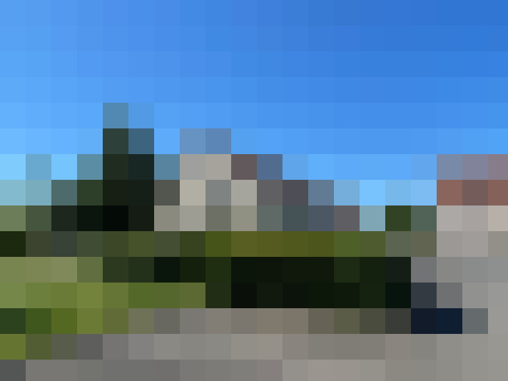  / #7