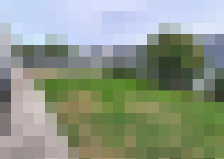  / #13