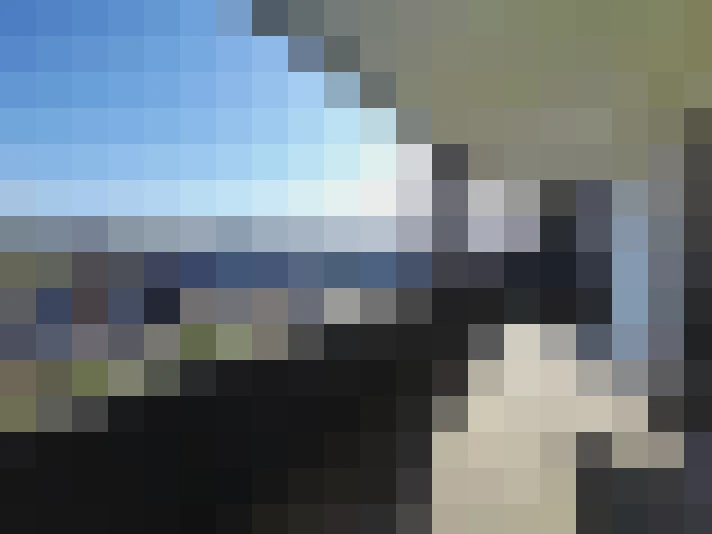  / #12