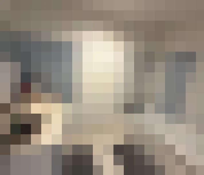  / #15