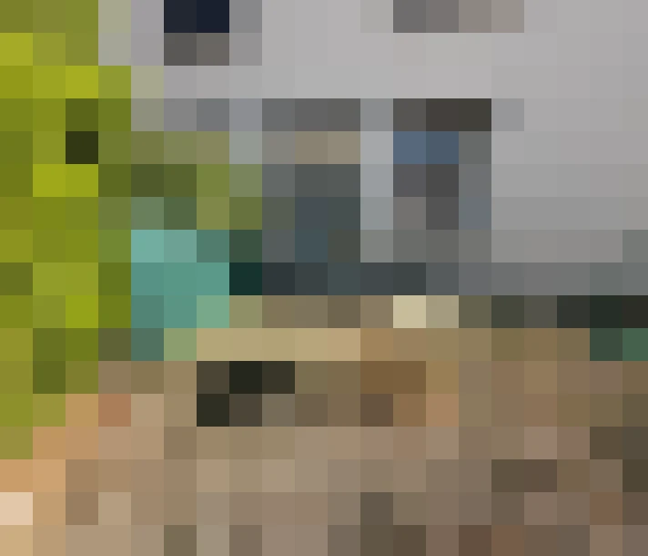  / #19