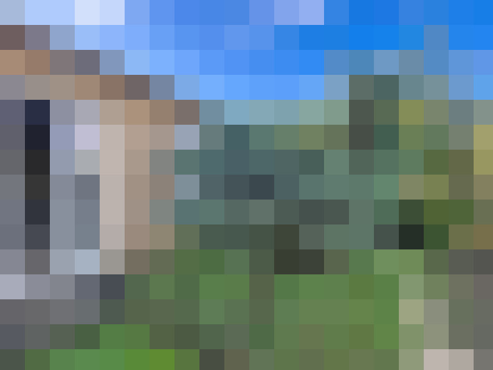  / #7