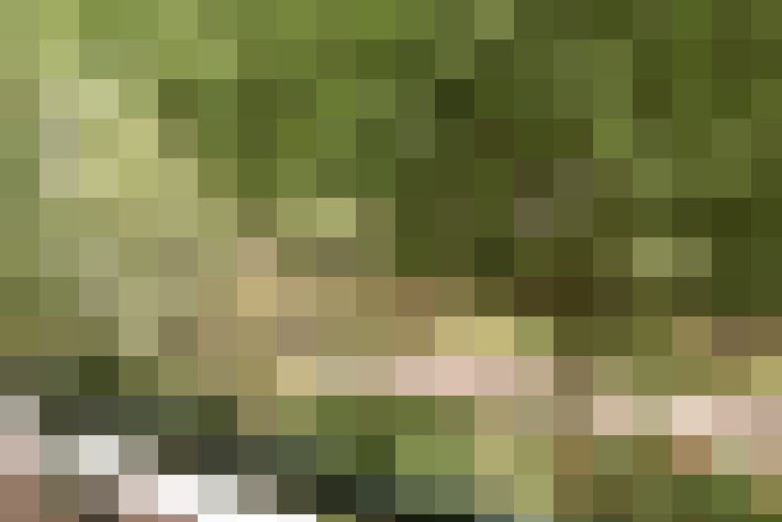  / #16