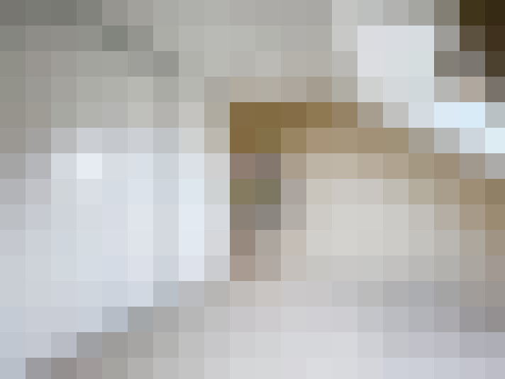  / #20