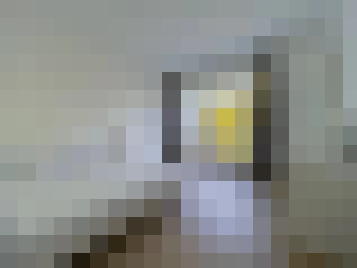  / #11