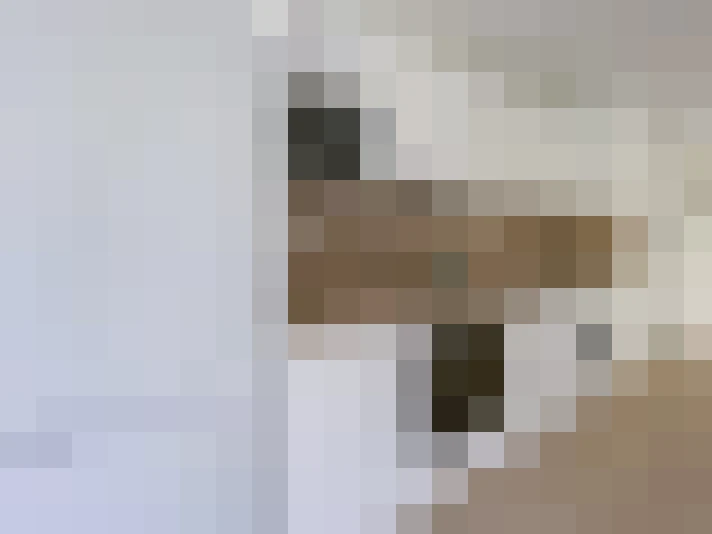  / #20