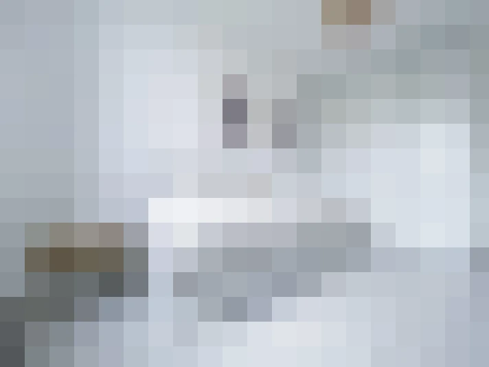  / #17