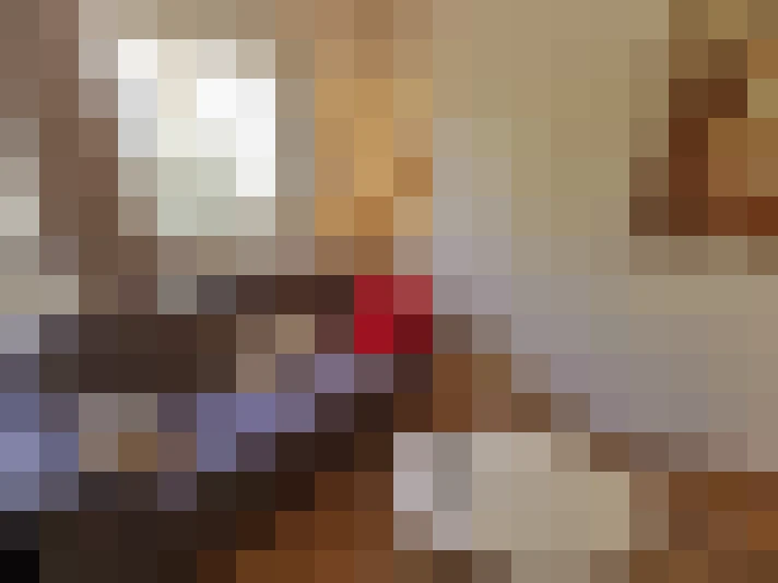  / #14