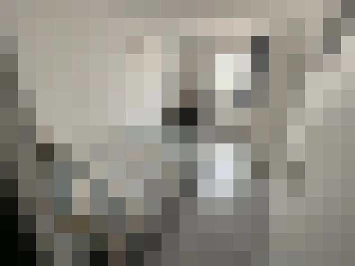  / #15