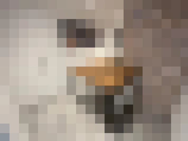  / #18
