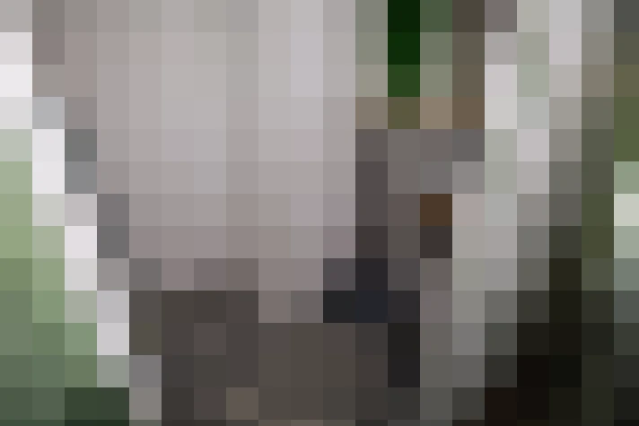  / #18