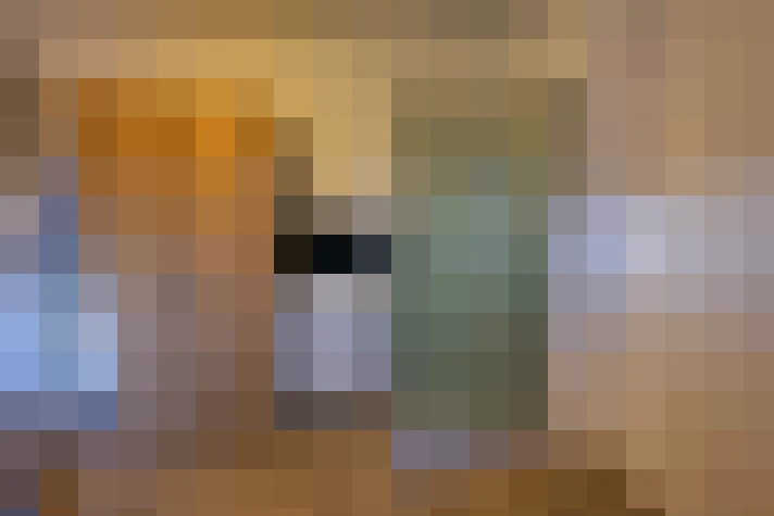  / #14