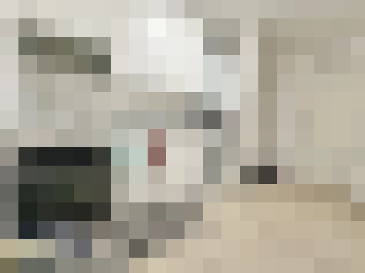  / #16