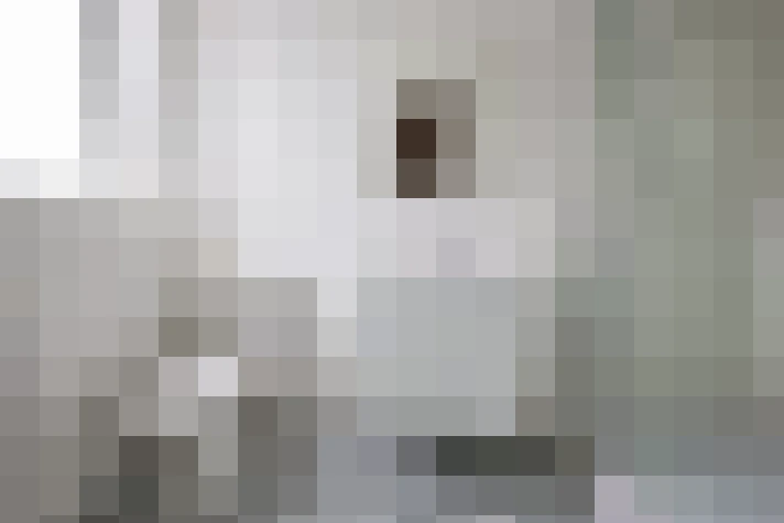  / #7