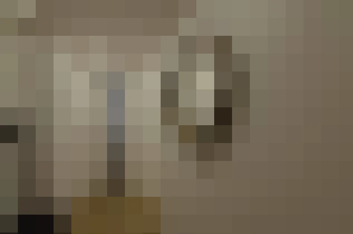  / #14