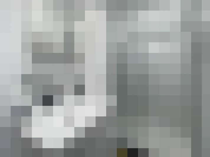  / #18