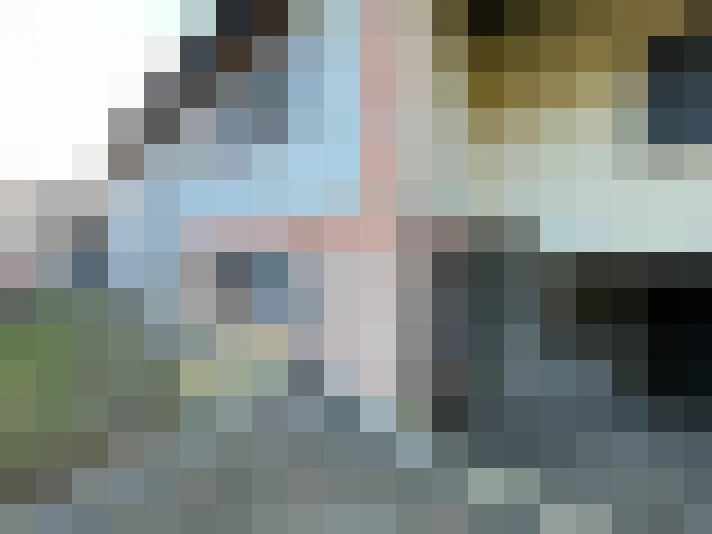  / #19