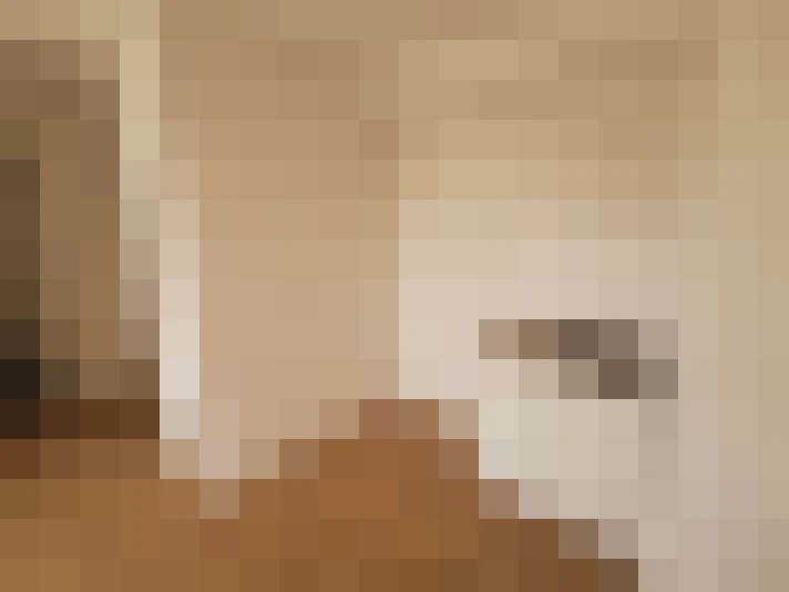  / #14