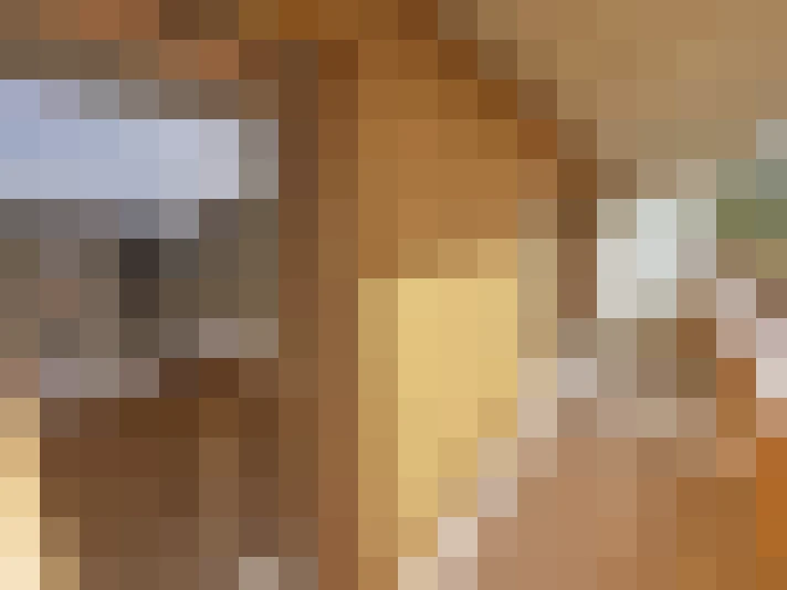  / #16