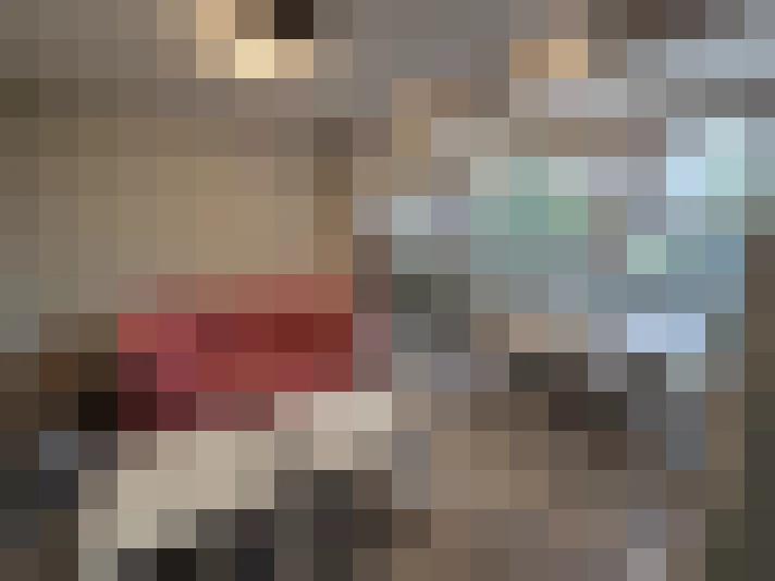  / #18