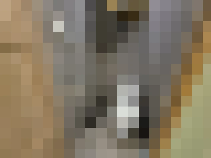  / #12