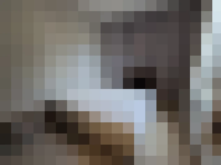  / #13
