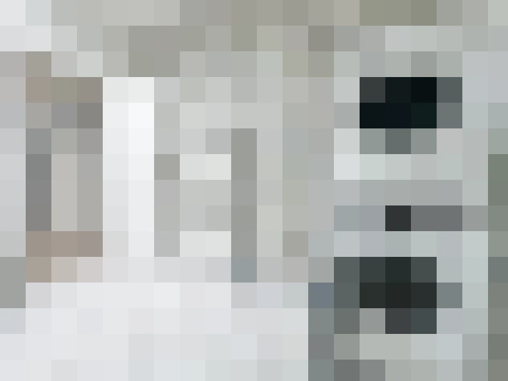  / #19