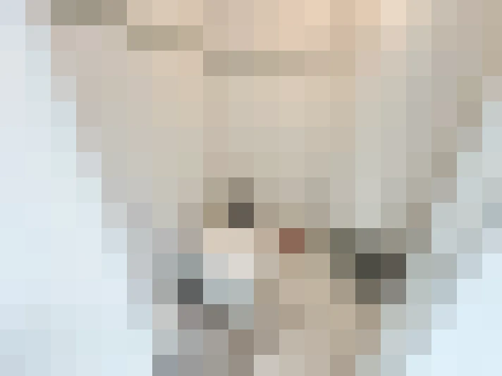  / #20