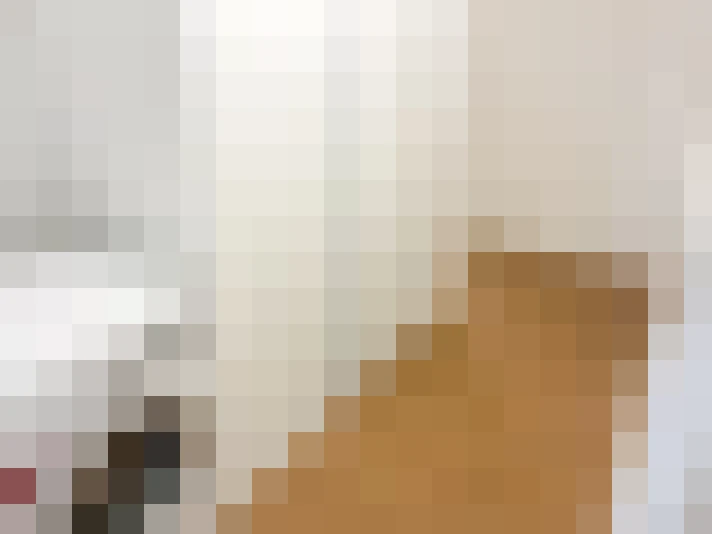  / #17