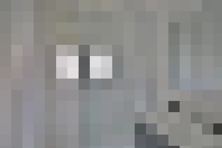  / #13
