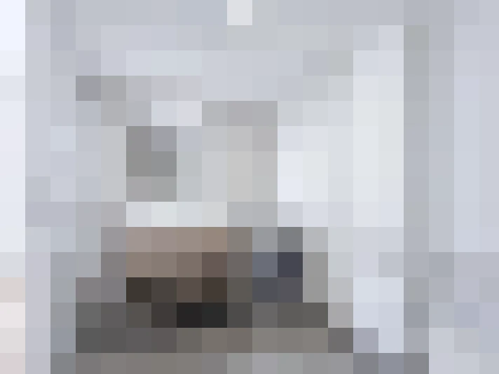  / #11
