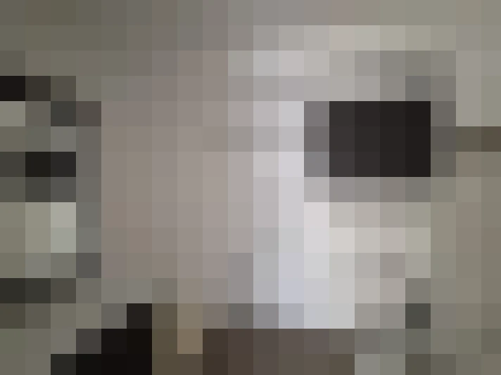  / #15