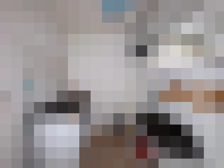  / #16