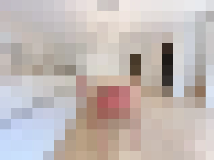  / #11