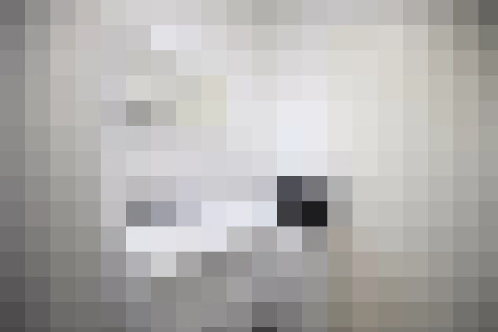  / #13