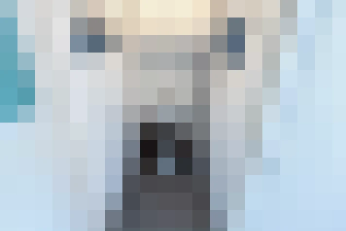  / #15