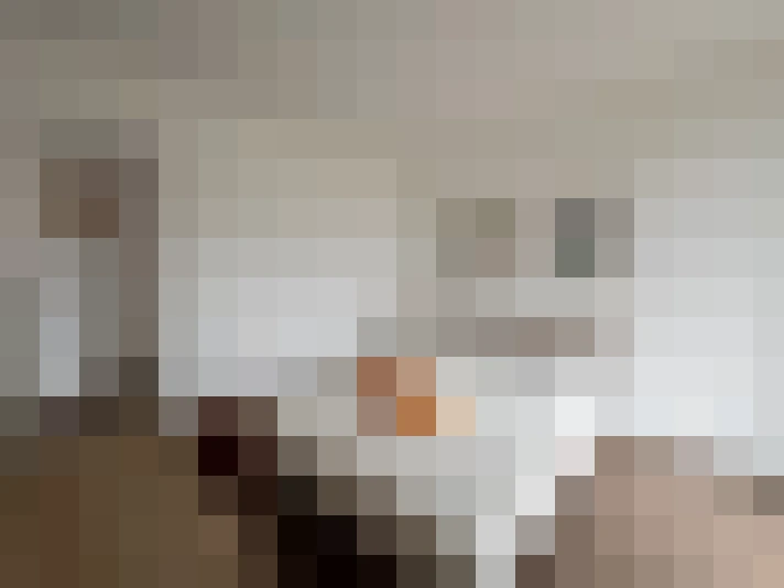  / #17