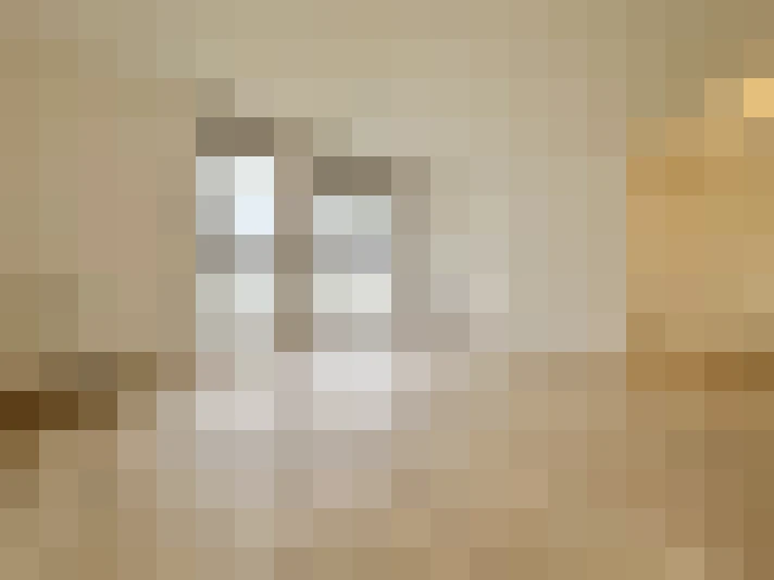  / #18