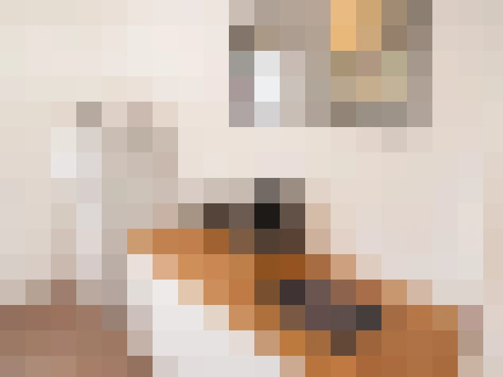  / #16