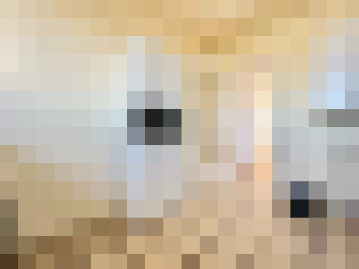  / #12