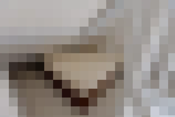 / #14
