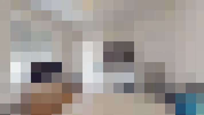  / #18