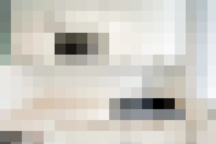  / #20