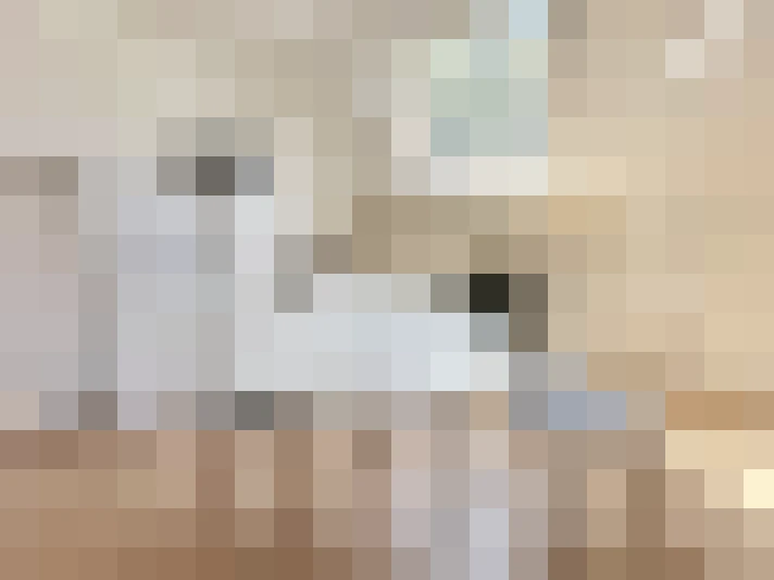  / #7