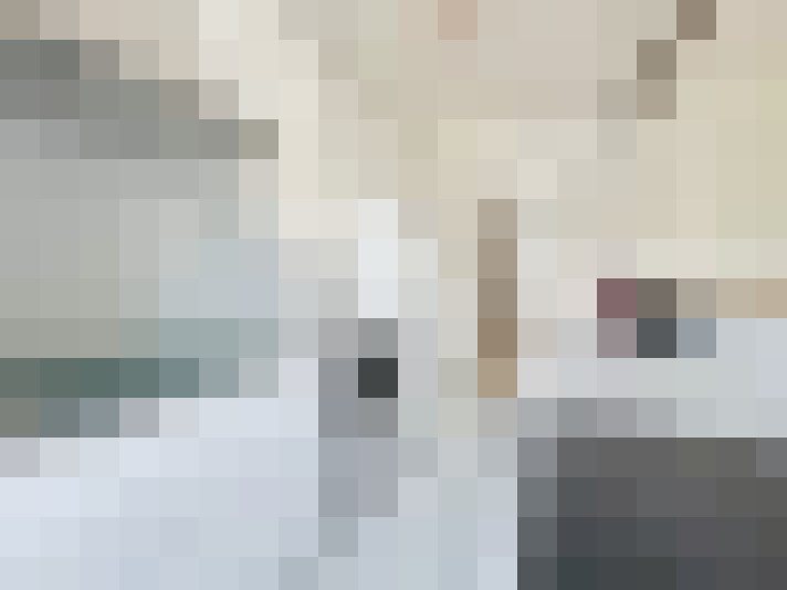  / #20