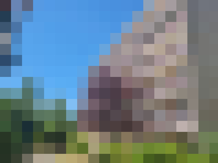  / #7
