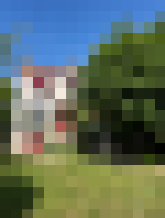  / #12