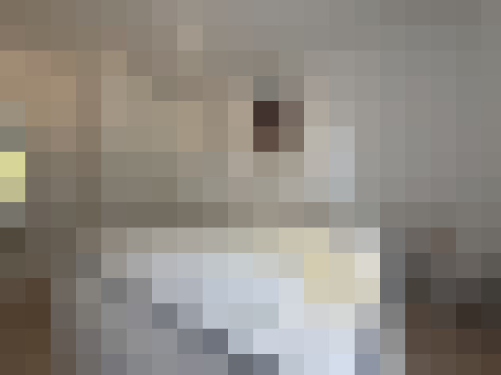  / #13