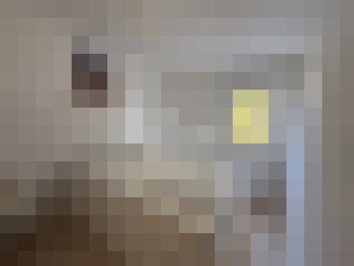  / #12