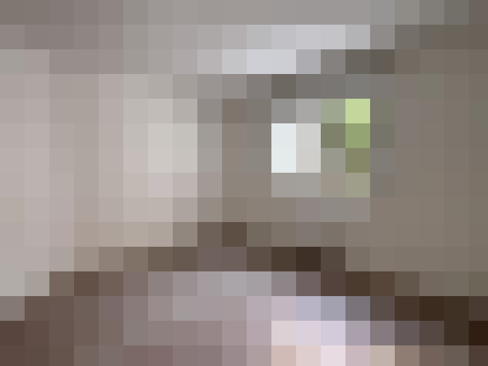  / #8